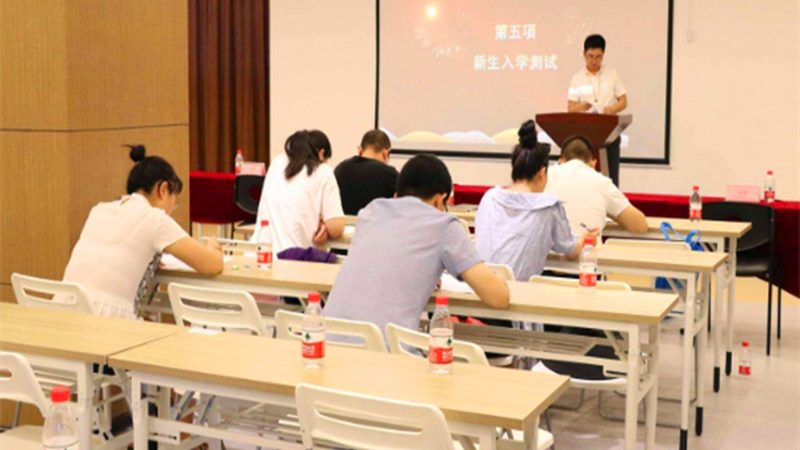 小标题：法考背景与重要性