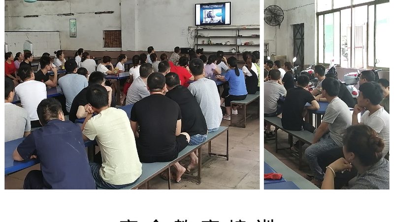 成人高考和自考哪个好考